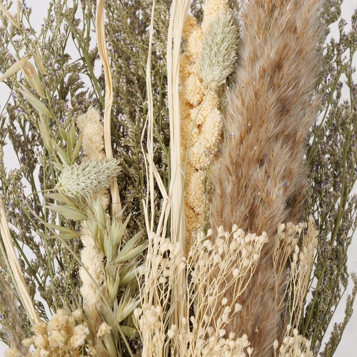 Trockenstrauß | Dekostrauß "Mysa" (B) mit Trockenblumen und Trockengräsern 80 cm