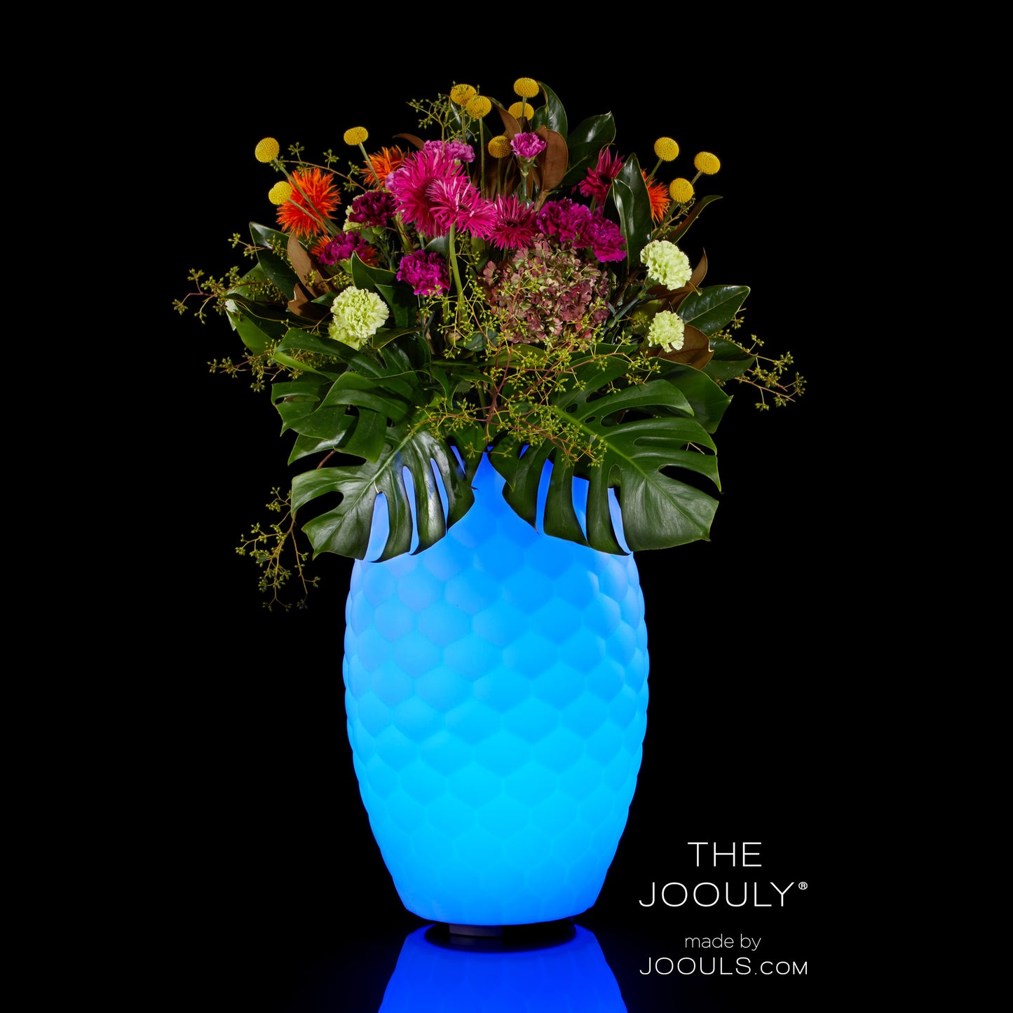 The JOOULY LTD 65 - 3 in 1 Leuchter, Cooler, Lautsprecher
