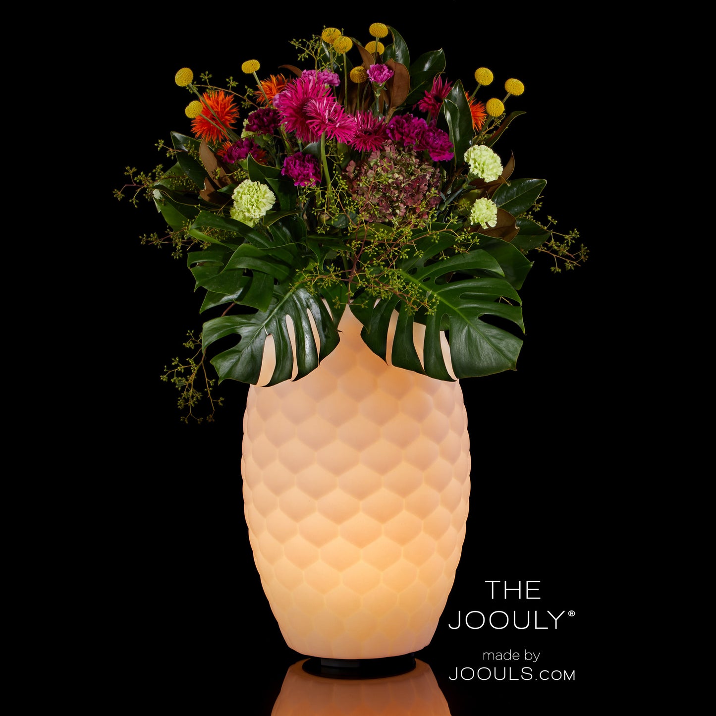 The JOOULY LTD 65 - 3 in 1 Leuchter, Cooler, Lautsprecher