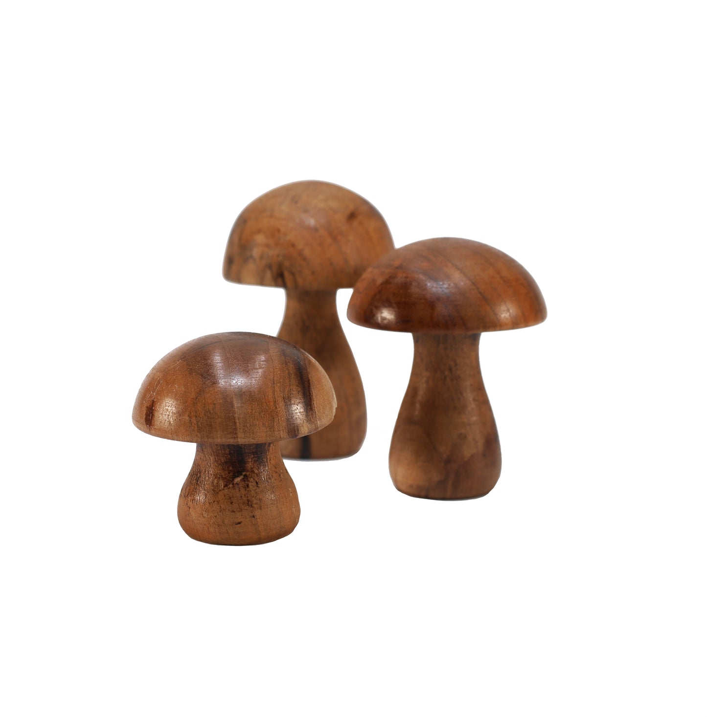 Deko Pilz aus Walnussholz (1 Stück) klein