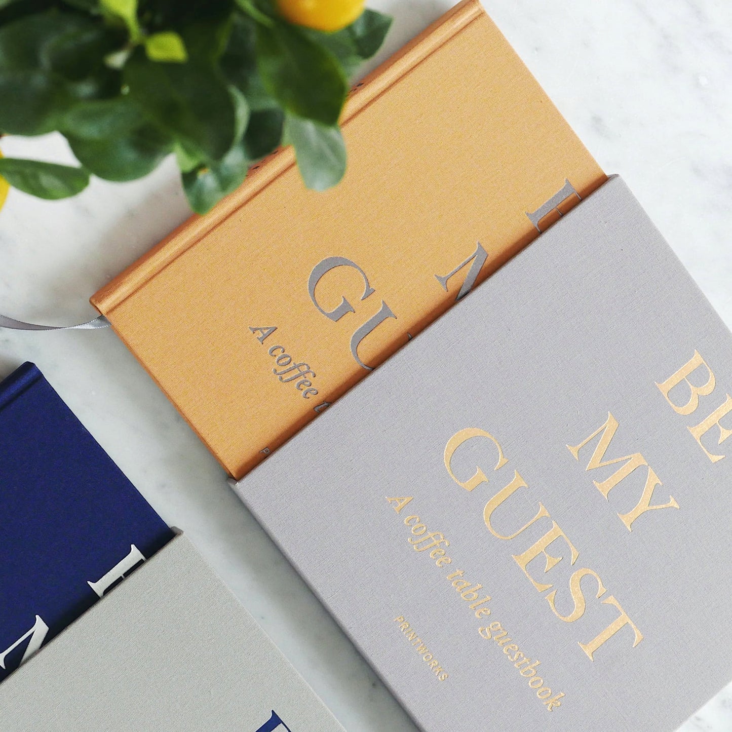 Gästebuch "Be My Guest" mit Schutzhülle 24 x 23,5 cm - 200 Seiten