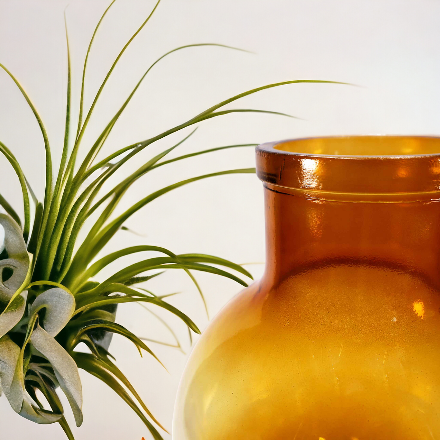 Vase "Aran" Blumenvase mit Farbverlauf - 31 cm