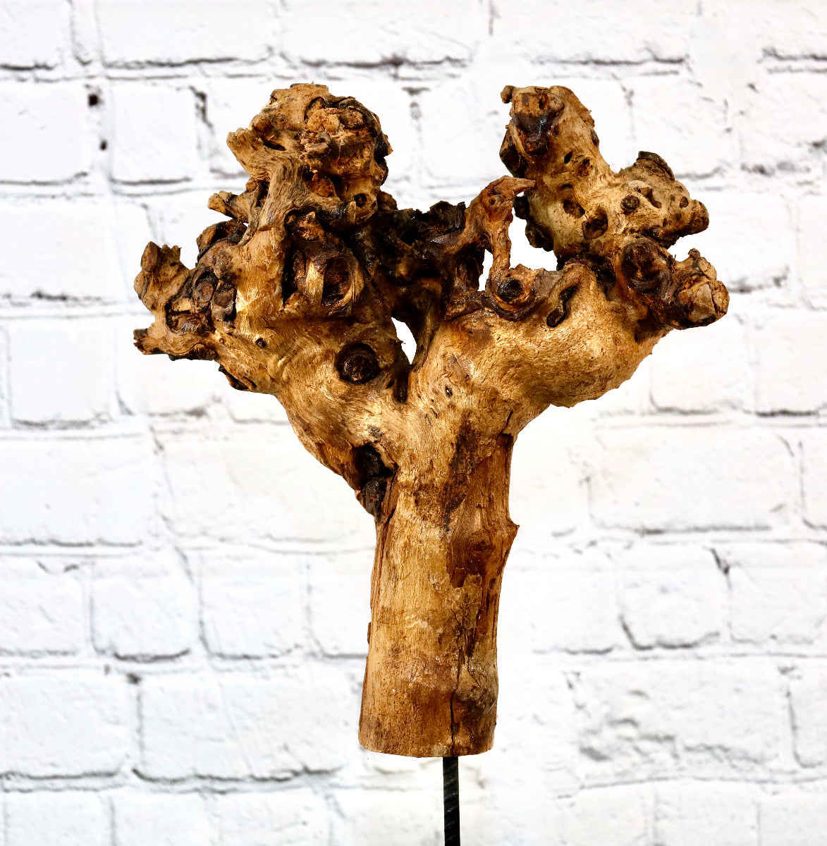 Holzskulptur "BigWood-Hand"(Wurzelholz) auf Ständer ca. 55 cm - Handarbeit - Unikat