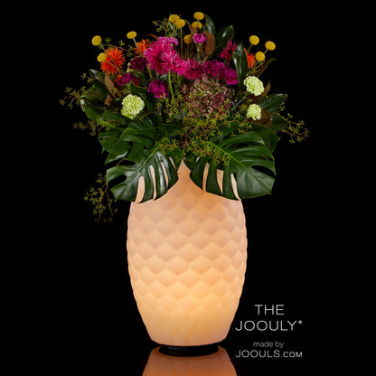 The JOOULY LTD 65 - 3 in 1 Leuchter, Cooler, Lautsprecher