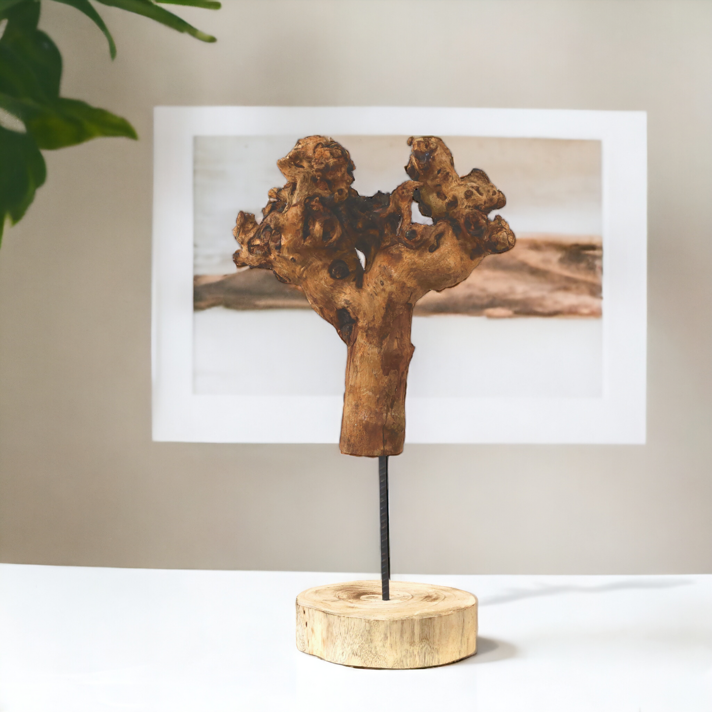 Holzskulptur "BigWood-Hand"(Wurzelholz) auf Ständer ca. 55 cm - Handarbeit - Unikat