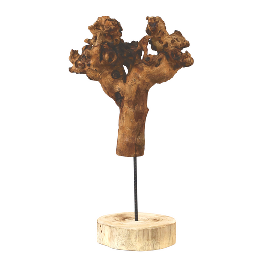 Holzskulptur "BigWood-Hand"(Wurzelholz) auf Ständer ca. 55 cm - Handarbeit - Unikat