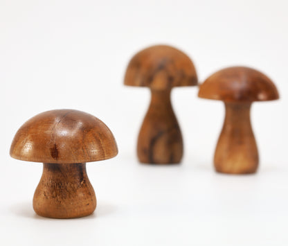 Deko Pilz aus Walnussholz (1 Stück) mittel