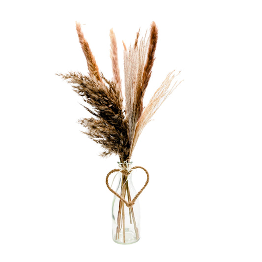 Trockenstrauß "Fluffy Pampas" mit Vase klein - 50 cm - Flaschenvase 10,5 cm