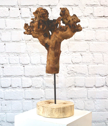 Holzskulptur "BigWood-Hand"(Wurzelholz) auf Ständer ca. 55 cm - Handarbeit - Unikat